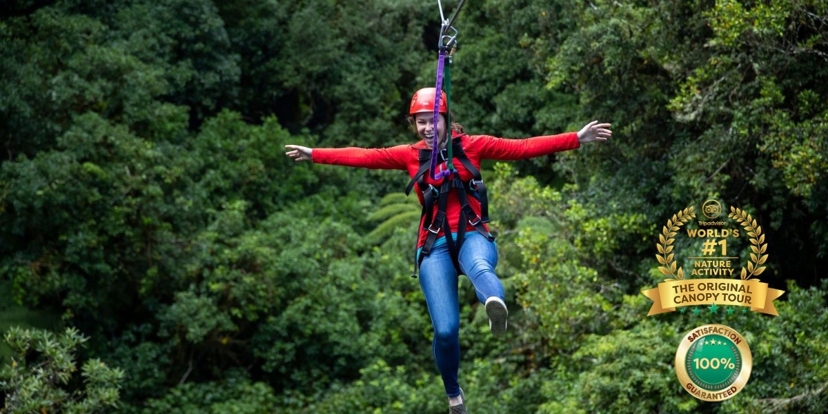 The History and Conservation Efforts Behind Rotorua Ziplines