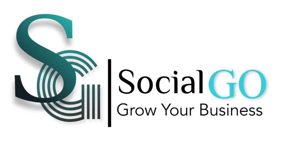 Best SEO Company in Delhi Elevate Your Online Presence with SocialGo