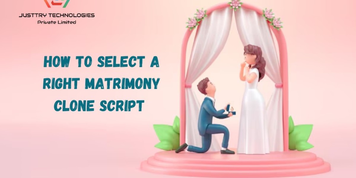 How to Select a Matrimony Clone Script in the Right Manner