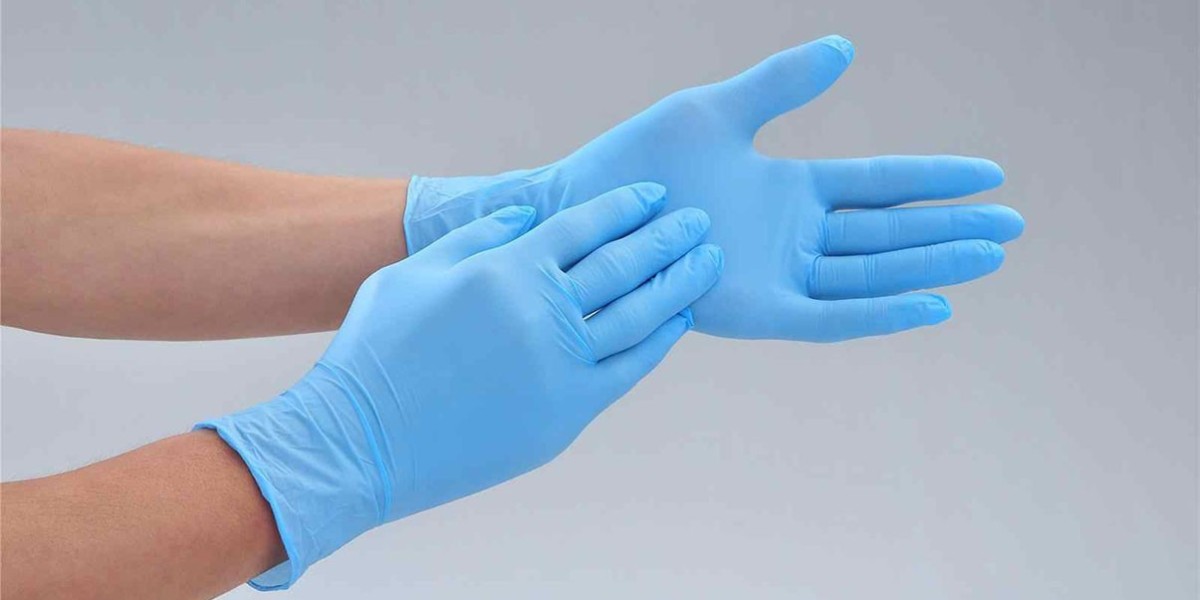 Cleanroom Disposable Gloves Market: Regional Insights and Key Markets