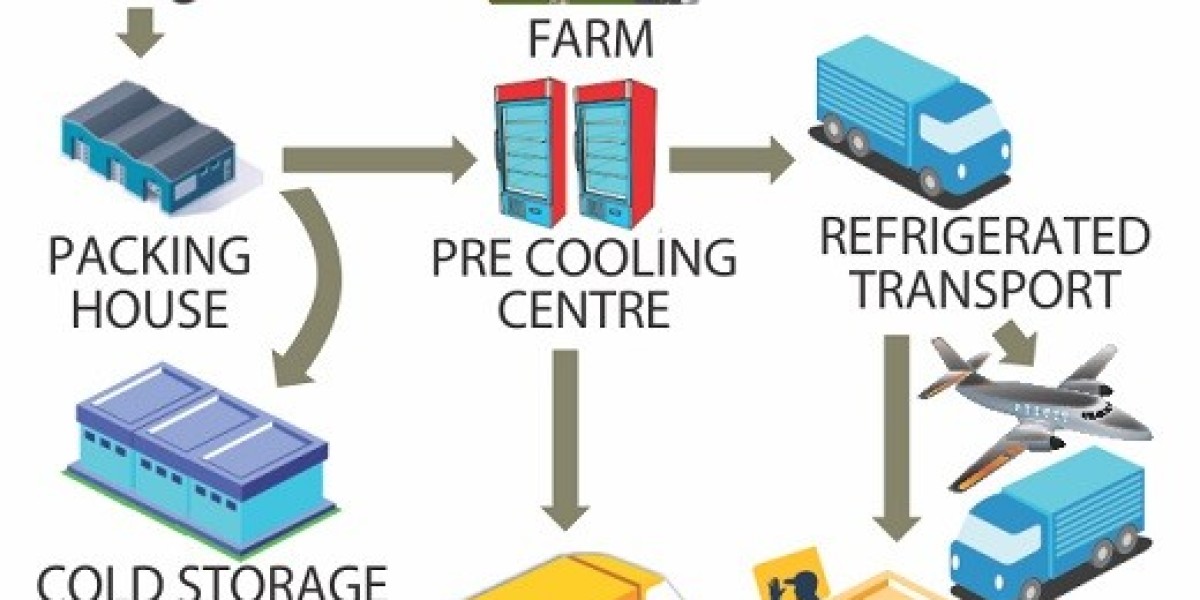 Cold Chain Logistics: Meeting the Rising Demand for Fresh & Frozen Products