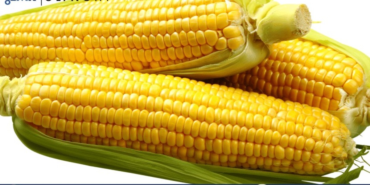 Corn Market Analysis : Growth, Trends, Opportunities, and Forecast 2025-2034