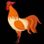 Referral Code