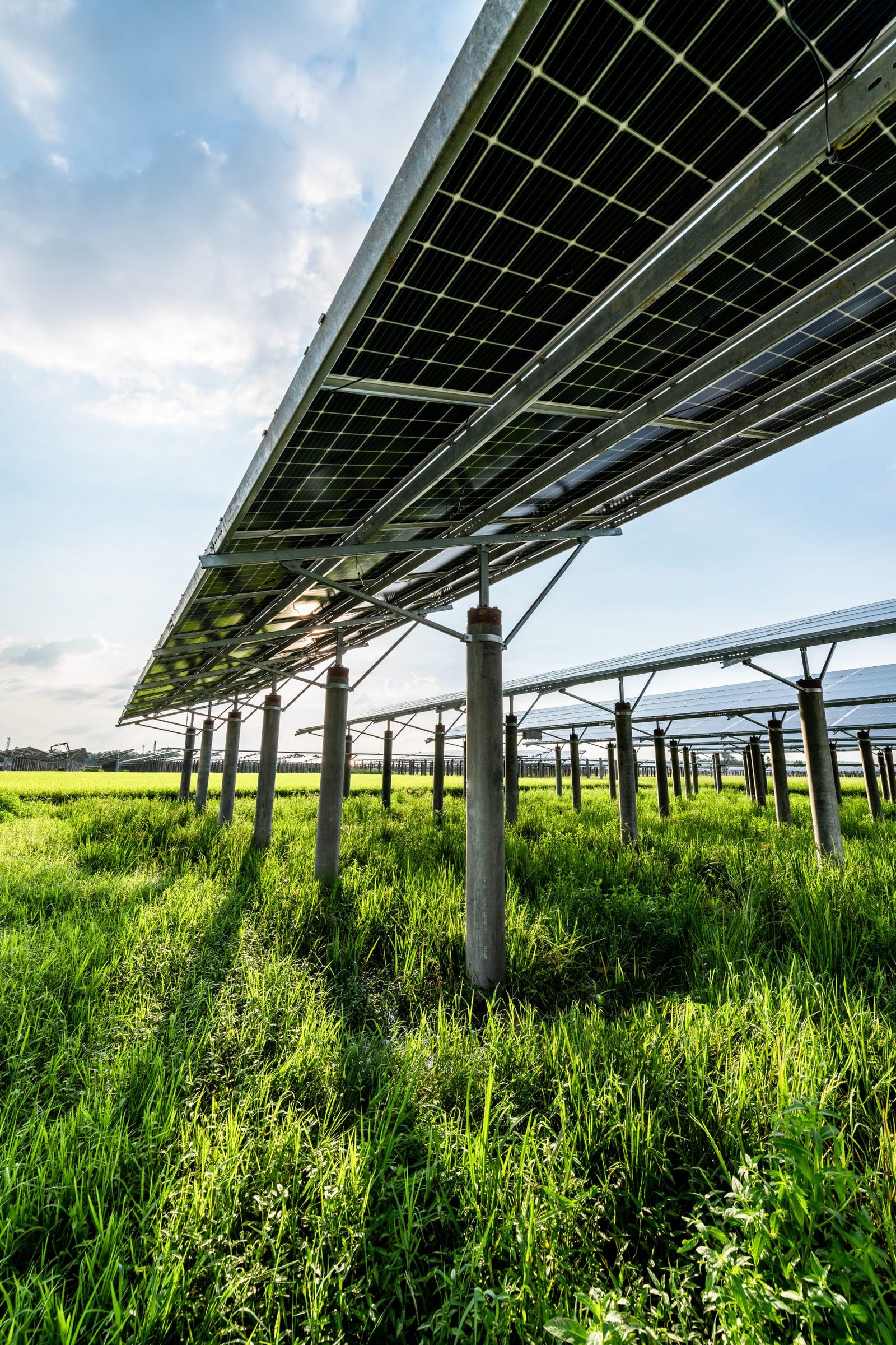 Top Solar Panel Manufacturers in India | Solar Panel Systems