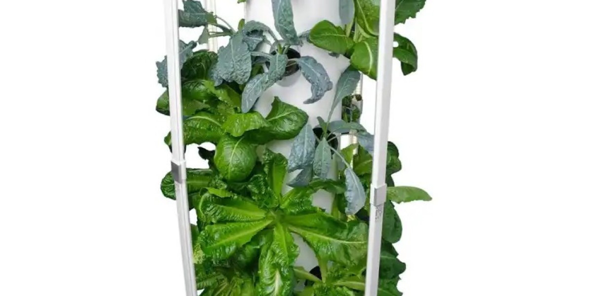 Transform Your Home with a Hydroponic Tower Garden