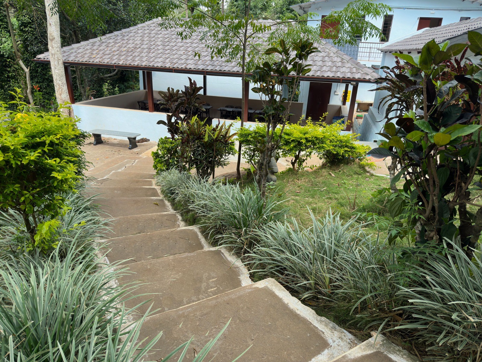 seattlegarden kollihills