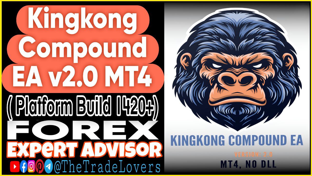 Kingkong Compound EA V2.0 MT4 (Works on Build 1421 ) | Forex Robot | MT4 Expert Advisor - Payhip