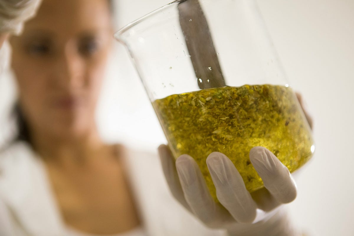 How Beauty Accelerator Programs Help Startups Avoid Common Business Mistakes? | by New York Institute Of Aromatherapy | Apr, 2025 | Medium