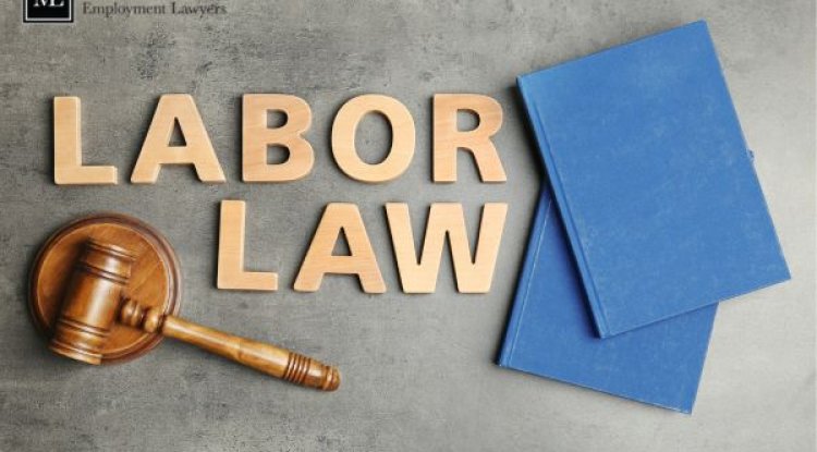 Why a Labour Lawyer Toronto is Crucial for Workplace Injury Claims - Charlotte News