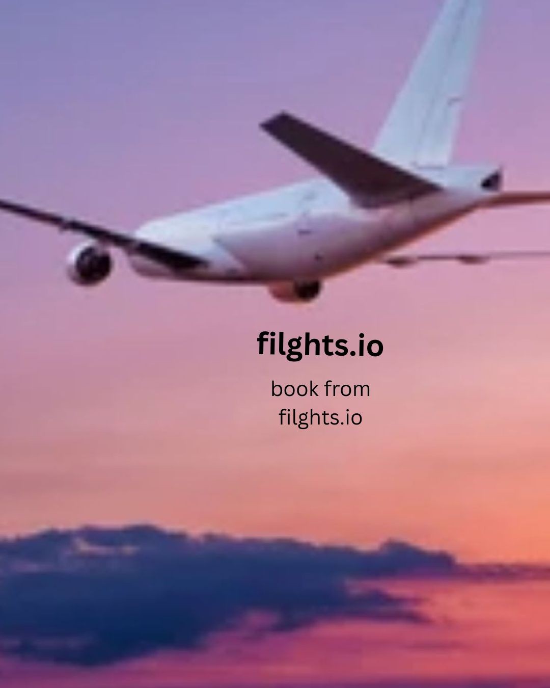 Filghts offcial79