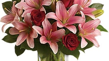 Petals of Peace: Exploring the Mindful Healing Power of Floral Beauty | Klein's Flower Shop