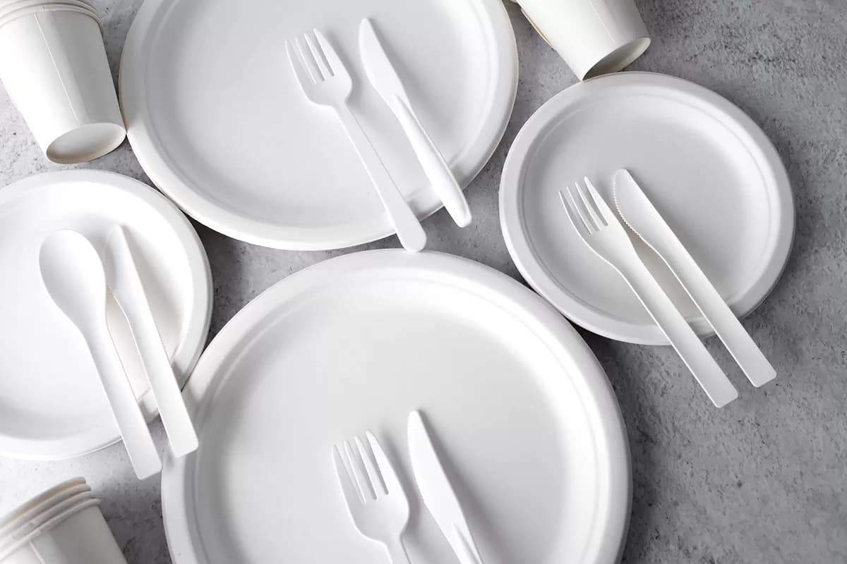 Global Disposable Plates Market to Reach USD 7,759.3 Million by 2035: Future Market Insights, Inc. - Newstrail