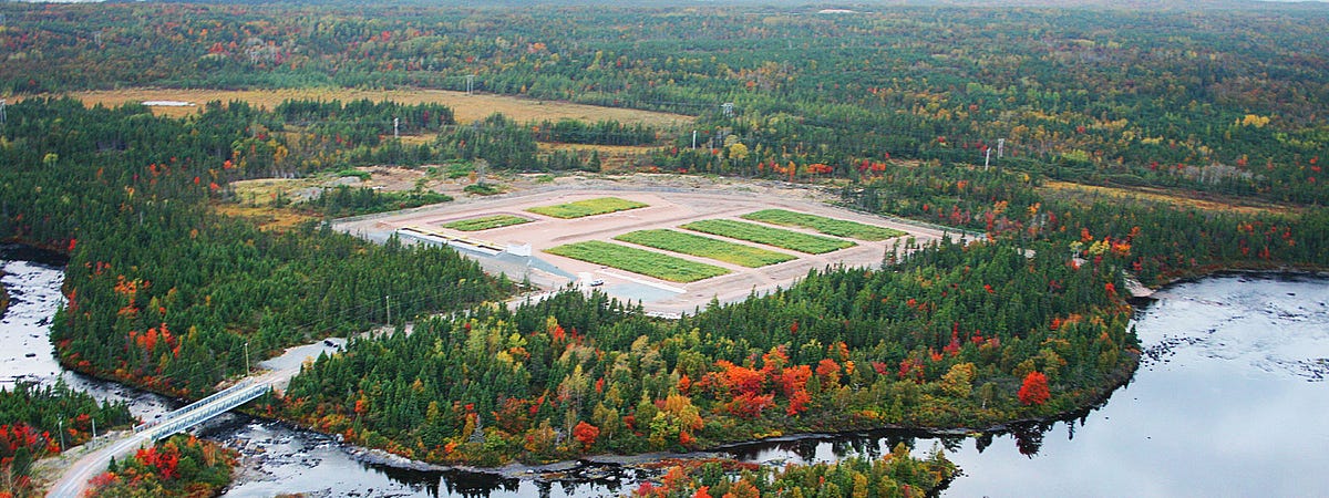 Farm to Filter: Wetlands as a Sustainable Solution for Agricultural Runoff | by Wetland Treatment Solutions | May, 2025 | Medium