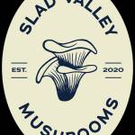 Slad Valley Mushrooms