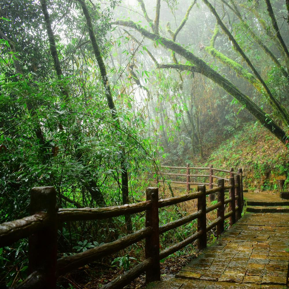 Best Places to Visit in India During Monsoon