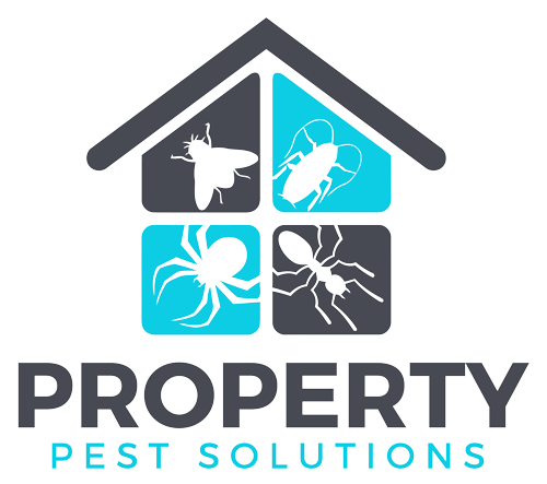 Pest Control in Plantation Florida - Property Pest Solutions