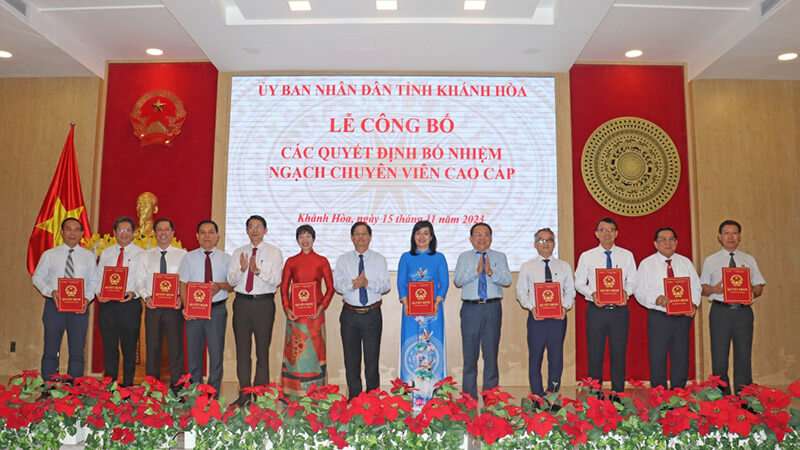 Chuyên viên cao cấp là gì? Mã ngạch bao nhiêu? Có mấy bậc lương?