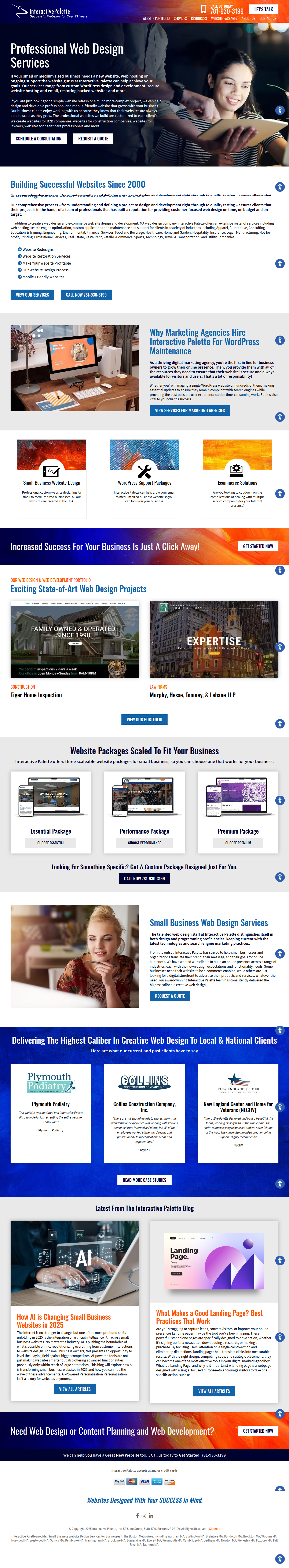 Website Designing Agency Boston - Site Pictures