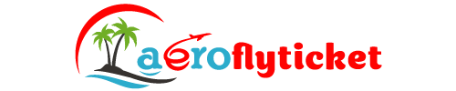 How do I purchase a ticket for Spirit Airlines?