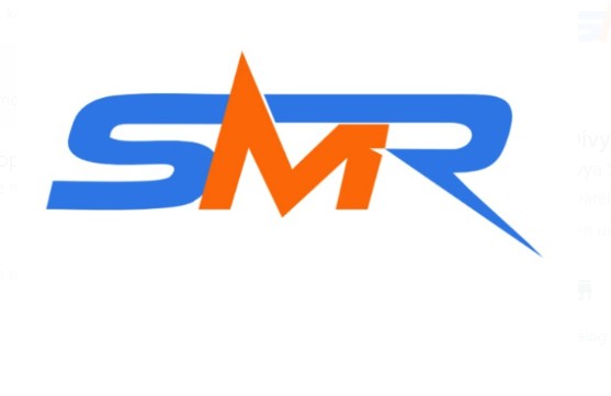 SMR Merchandise LLP Pillow