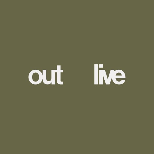 Outlive seo