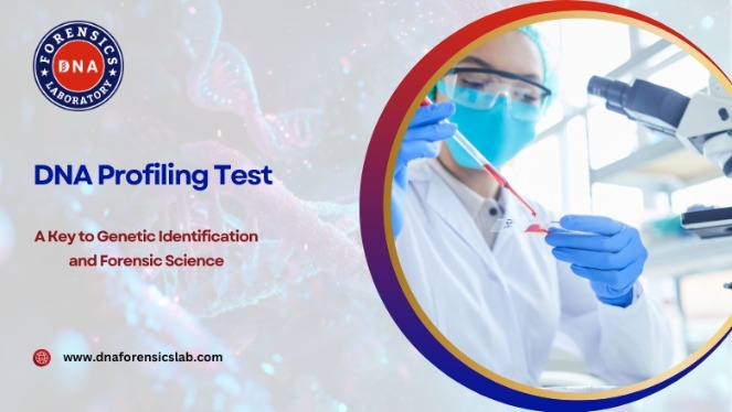 Unlocking Identity and Truth with the DNA Profiling Test | Vipon