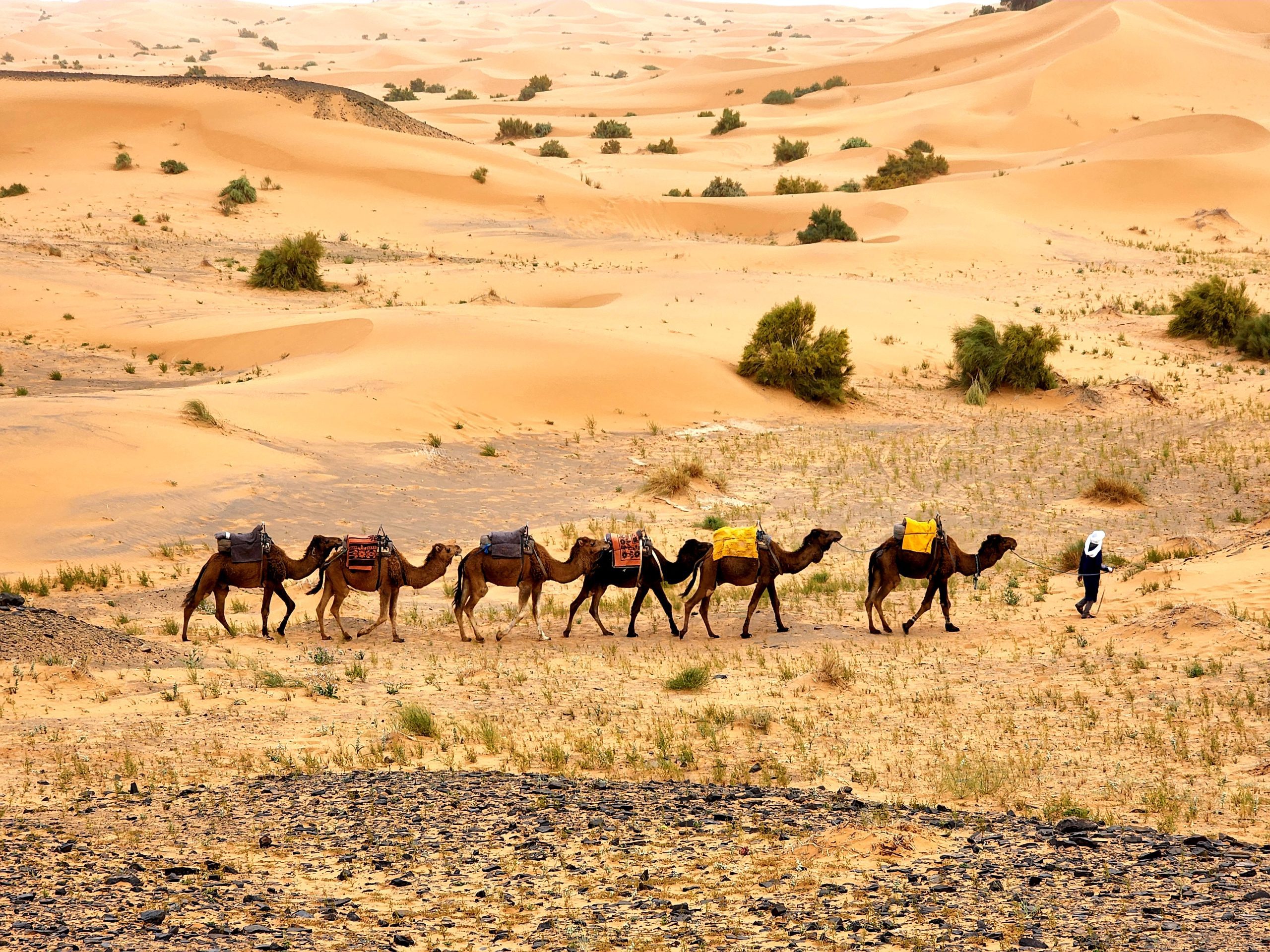 Morocco Sahara Desert Adventure Tours | Unforgettable Trips