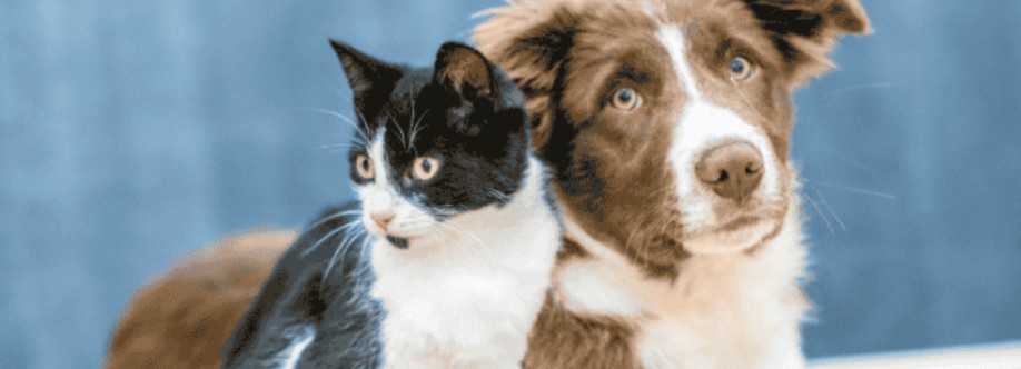 Alvid Pet