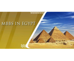 Visa Process for Indian Students Going to Egypt for MBBS – Step-by-Step Guide – StudyAbroadEV