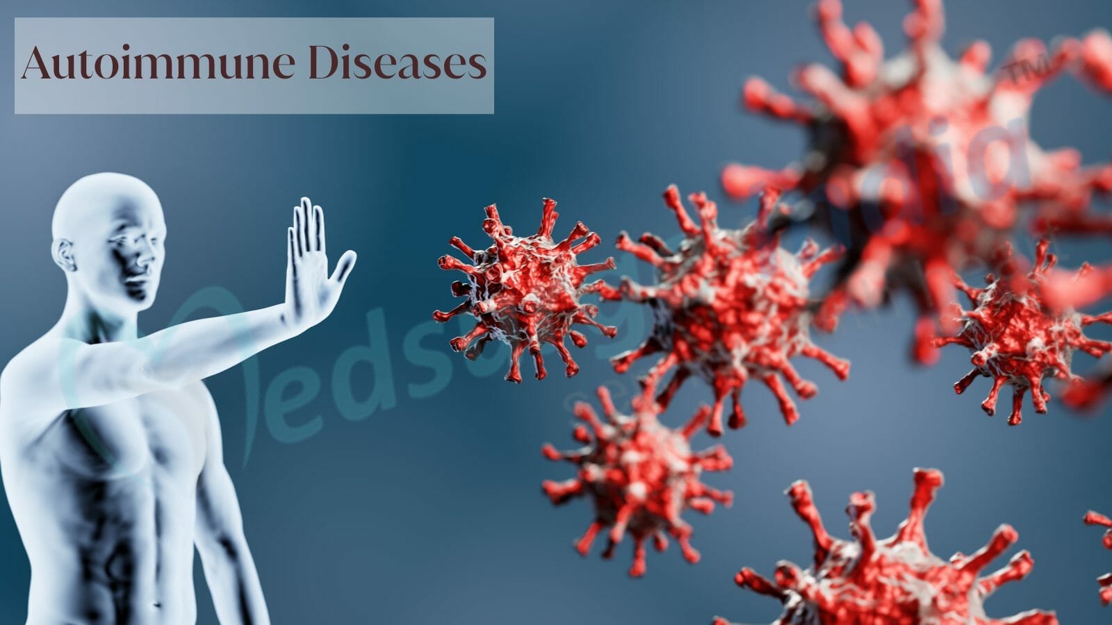 Top Herbal Remedies for Autoimmune Conditions: What Science Says - Biz DirectoryHub