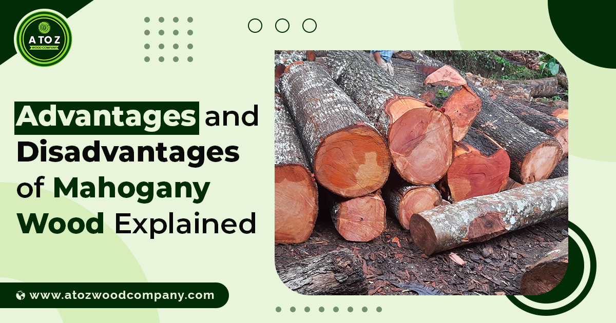Advantages and Disadvantages of Mahogany Wood Explained