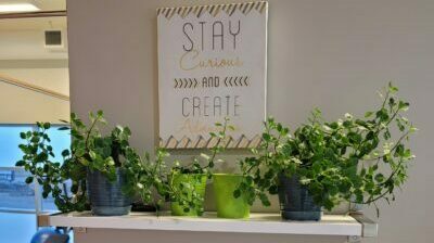 Soothing Hands: Chronic Pain Relief through Massage Therapy | Naturology Centre Moncton