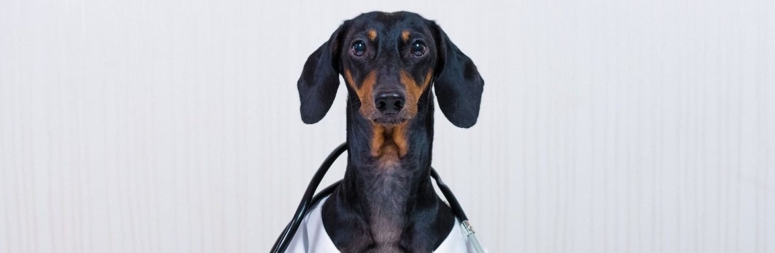 Petvet healthcare