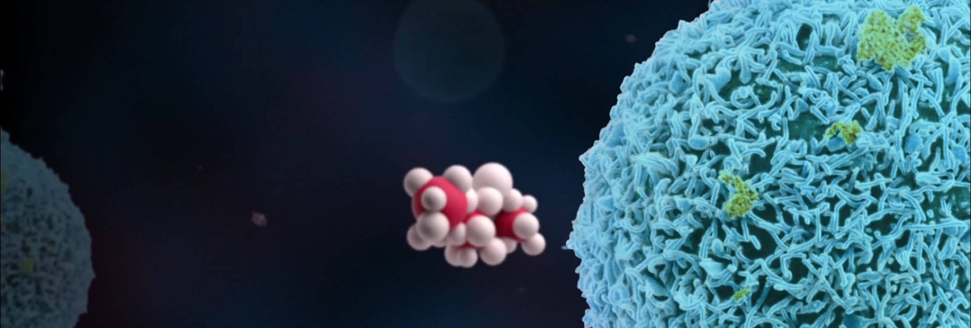 Stem Cells To Treat Stroke and Brain Damage In India