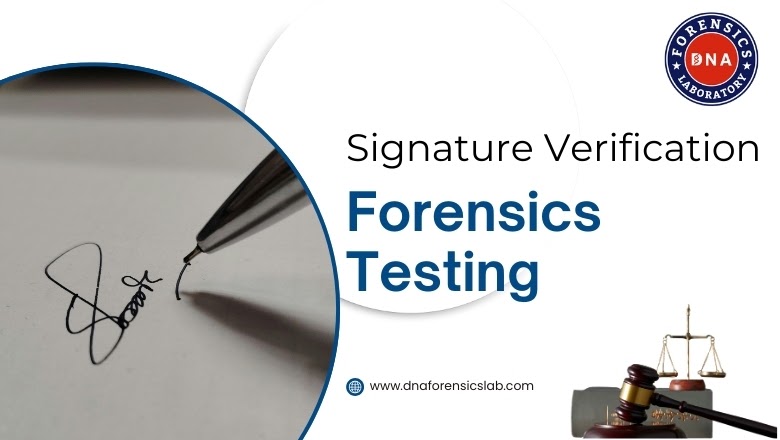 Signature Verification Forensics Test: A Powerful Tool Against Fraud
