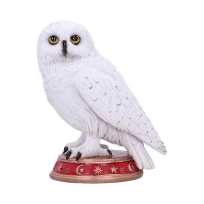 Wizard's Familiar Owl Figurine 10cm Profile Picture