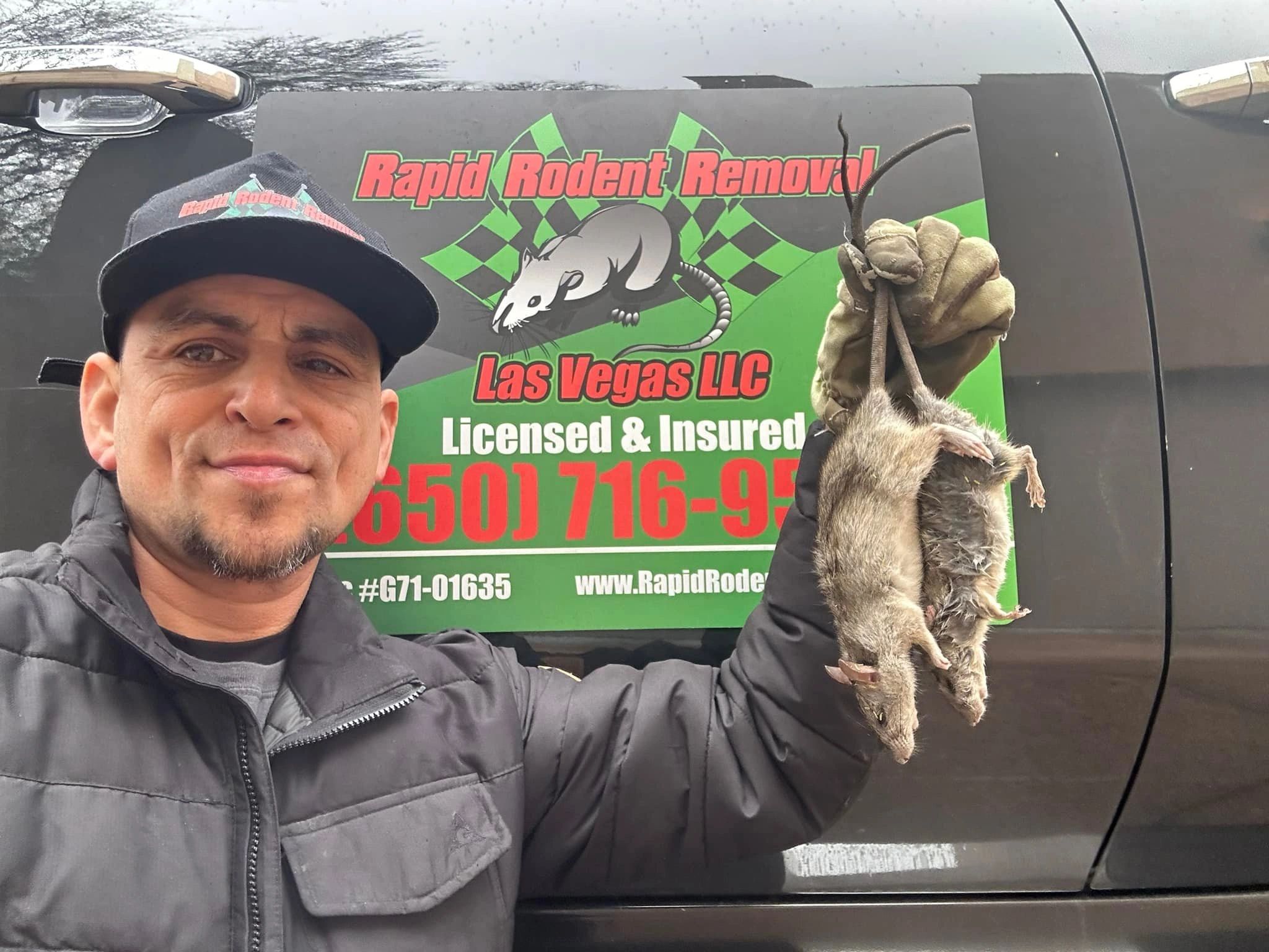 Rodent Damage Repair