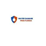 Water Damage Pros FL
