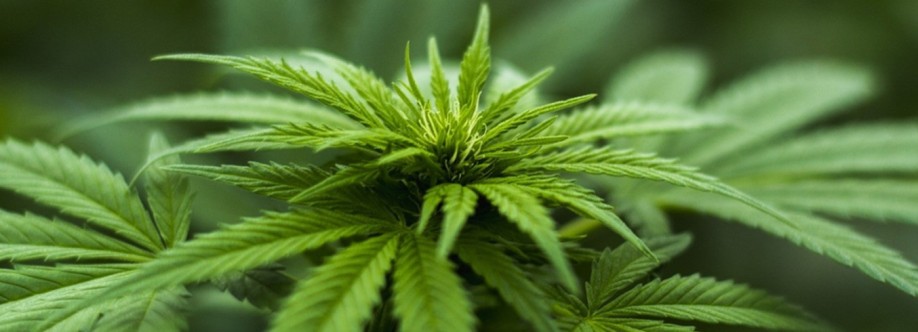 West Coast Cannabis