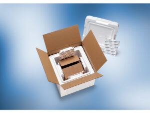 Temperature Controlled Pharma Packaging Market to be Worth USD 29,859.1 Million by 2035: Future Market Insights, Inc. – FMIBlog