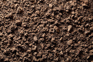 Transform Your Outdoor Space with Premium Landscape Materials Delivered