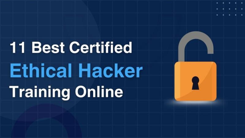 Best Certified Ethical Hacker Training Online in 2025: Top 11 Courses Compared