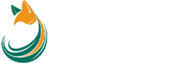 Melbourne’s Cat Lover Community | Who’s For Cats Club