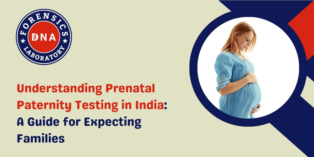 Understanding Prenatal Paternity Relationships: A Guide for Expecting Parents – DNA Forensics Laboratory