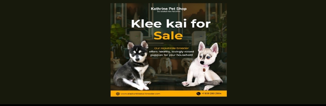 Kathrine Pet Shop