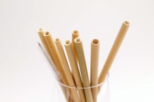 Bamboo Straw Market Share Analysis | Set to Grow at 5.0% CAGR Through 2035, Reveals FMI Reports – FMIBlog