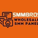 Smmbros Wholesale Smm Panel