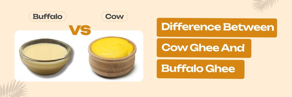 Desi Ghee Benefits: Cow Ghee vs Buffalo Ghee Breakdown