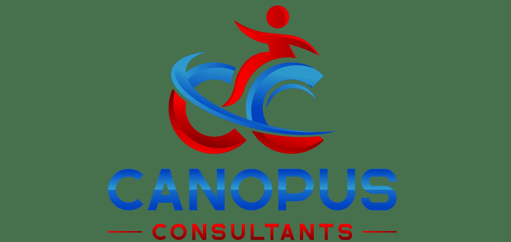Canopus Consultant
