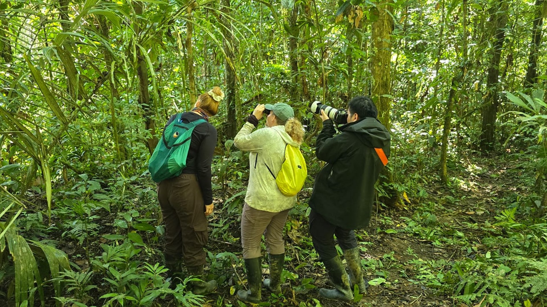 Manu Adventures - Your Perfect Gateway To The Heart Of Amazon - Arzuka